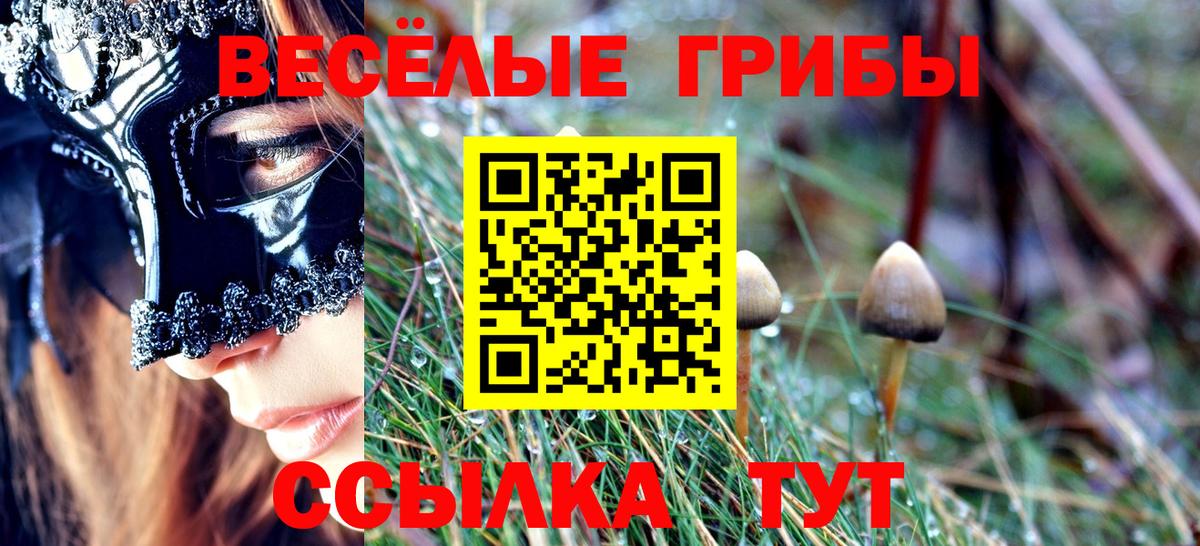 Псилоцибиновые грибы прущие грибы Елец