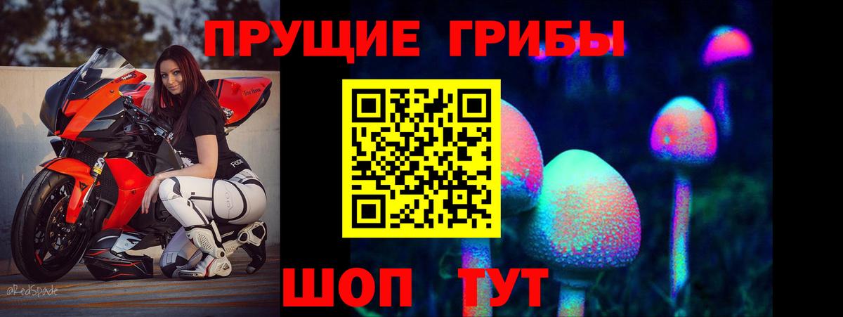 Галлюциногенные грибы мухоморы  Псилоцибиновые грибы Cubensis  цена   Вход с VPN  Елец 